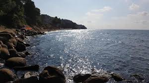 Akçakoca Kalkın Köyü Resimleri 4