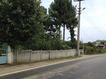 Akçakoca Melenağzı Köyü Resimleri 2