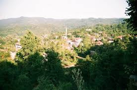 Akçakoca Ortanca Köyü Resimleri 8