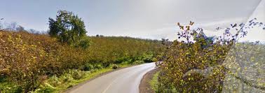 Akçakoca Ortanca Köyü Resimleri 9