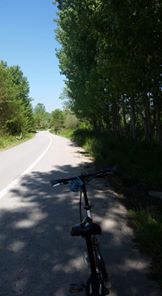 Cumayeri Büyükbelen Köyü Resimleri 6