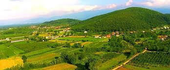 Cumayeri Çamlıpınar Köyü Resimleri 6