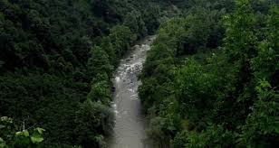 Cumayeri Dokuzdeğirmen Köyü Resimleri 5