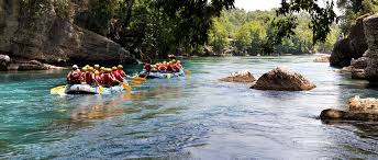 Cumayeri Dokuzdeğirmen Köyü Resimleri 6