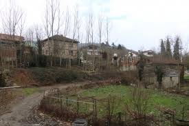 Cumayeri Dokuzdeğirmen Köyü Resimleri 8