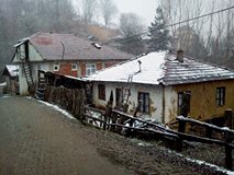 Cumayeri Mısırlık Köyü Resimleri 1