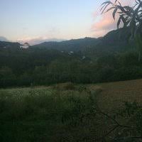 Cumayeri Ordulukaradere Köyü  Resimleri 2