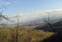 Cumayeri Taşlık Köyü Resimleri 3