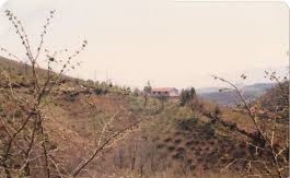 Cumayeri Taşlık Köyü Resimleri 8