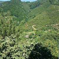 Çilimli Bıçkıbaşı Köyü Resimleri 10