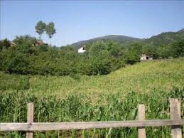 Çilimli Bıçkıbaşı Köyü Resimleri 12