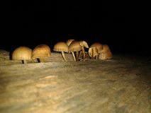 Çilimli Bıçkıbaşı Köyü Resimleri 2