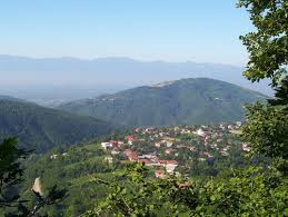 Çilimli Bıçkıbaşı Köyü Resimleri 4