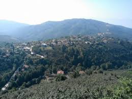 Çilimli Bıçkıbaşı Köyü Resimleri 6