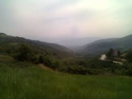 Çilimli Bıçkıbaşı Köyü Resimleri 9