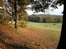 Çilimli Tepeköy Köyü Resimleri 3