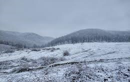 Çilimli Tepeköy Köyü Resimleri 7