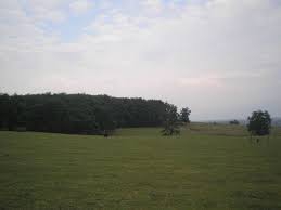 Çilimli Tepeköy Köyü Resimleri 9