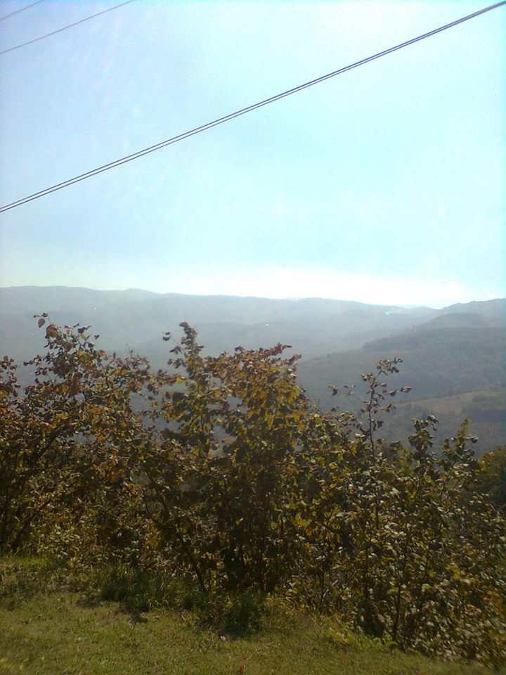 Gölyaka Bekiroğlu Köyü Resimleri 1