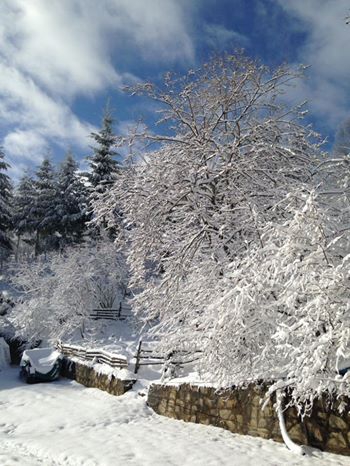 Gölyaka Bekiroğlu Köyü Resimleri 2
