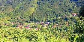 Gölyaka Değirmentepe Köyü Resimleri 4