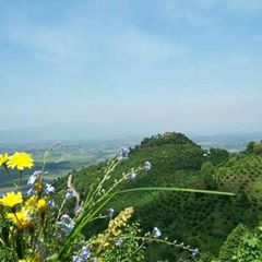 Gölyaka Hamamüstü Köyü Resimleri 1