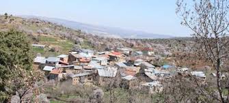 Ağın Bademli Köyü Resimleri 7