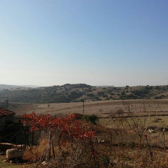 Uşak Dışkaya Köyü Resimleri 3