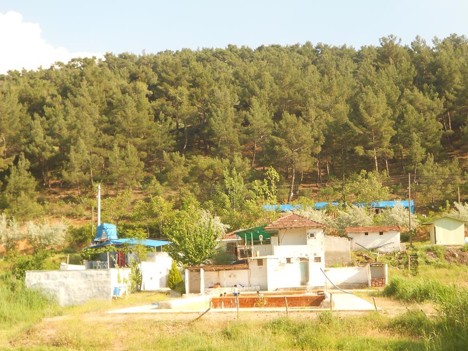 Uşak Emirfakı Köyü Resimleri 8