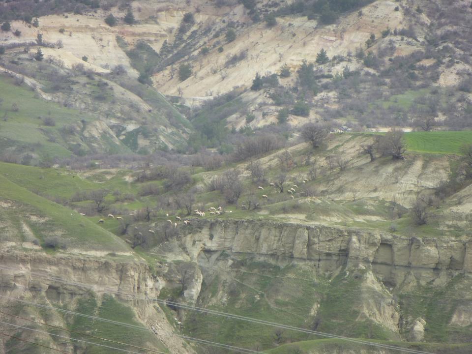 Uşak Fakılı Köyü Resimleri 4