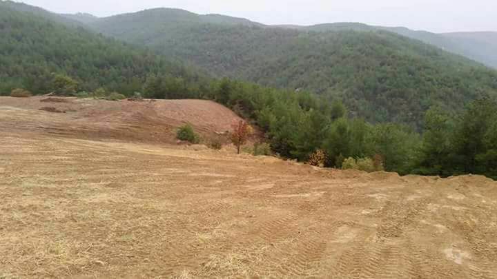 Uşak Gökçedal Köyü Resimleri 1