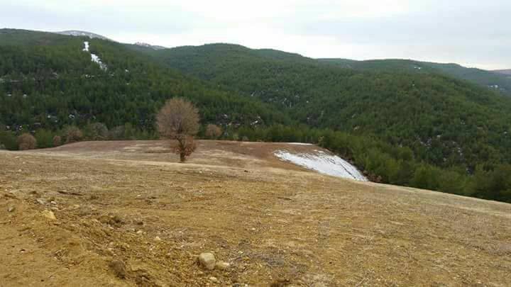 Uşak Gökçedal Köyü Resimleri 3