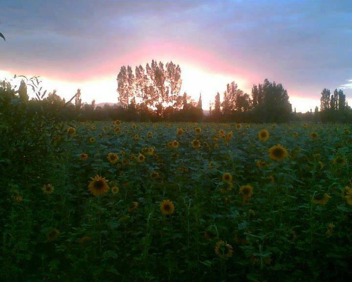 Afşin  İğdemlik  Köyü Resimleri 1