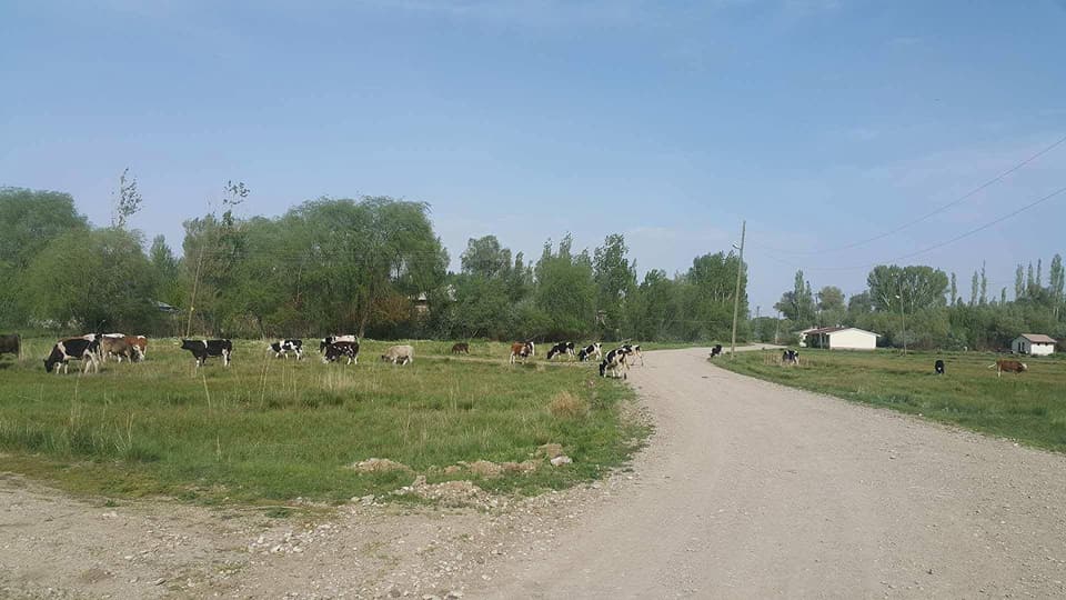 Afşin  İğdemlik  Köyü Resimleri 2