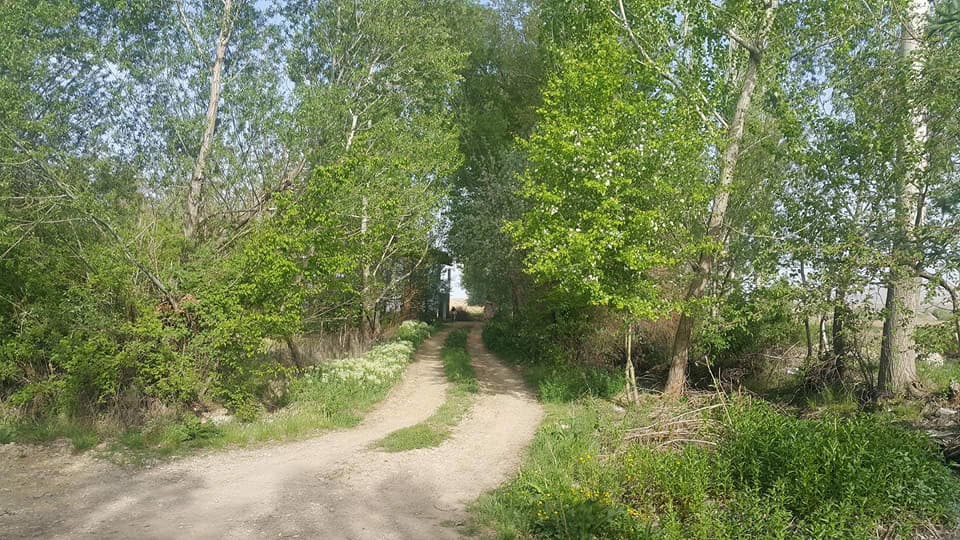 Afşin  İğdemlik  Köyü Resimleri 5