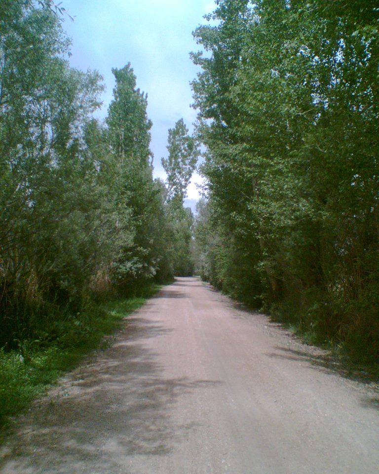 Afşin  İğdemlik  Köyü Resimleri 9