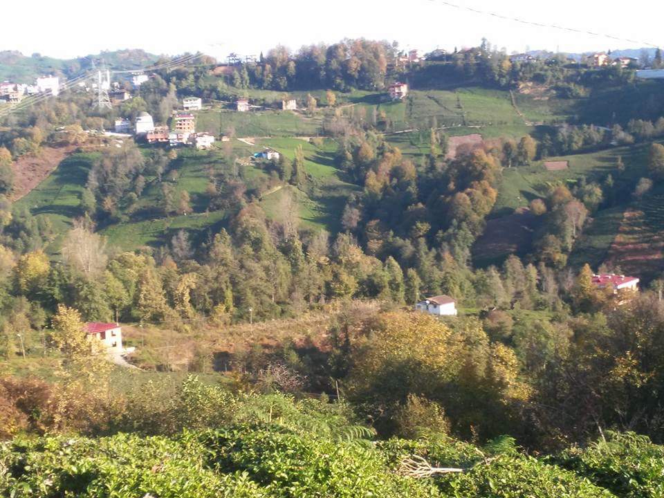 Hayrat Köyceğiz Köyü Resimleri 1