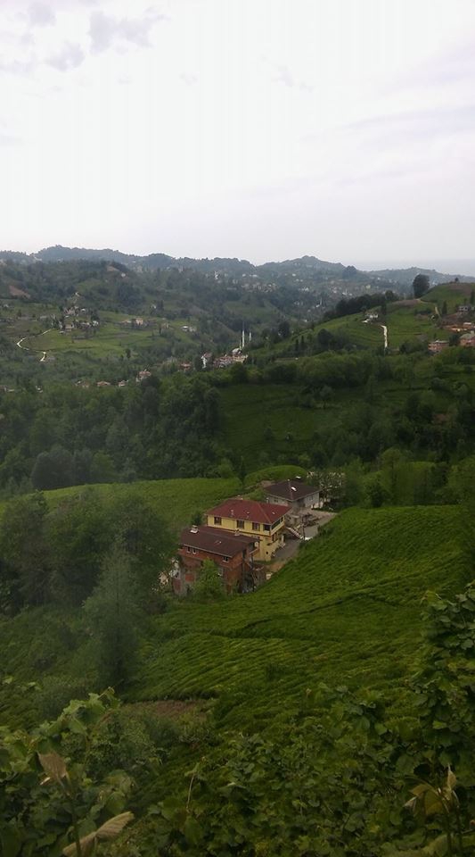 Hayrat Köyceğiz Köyü Resimleri 6