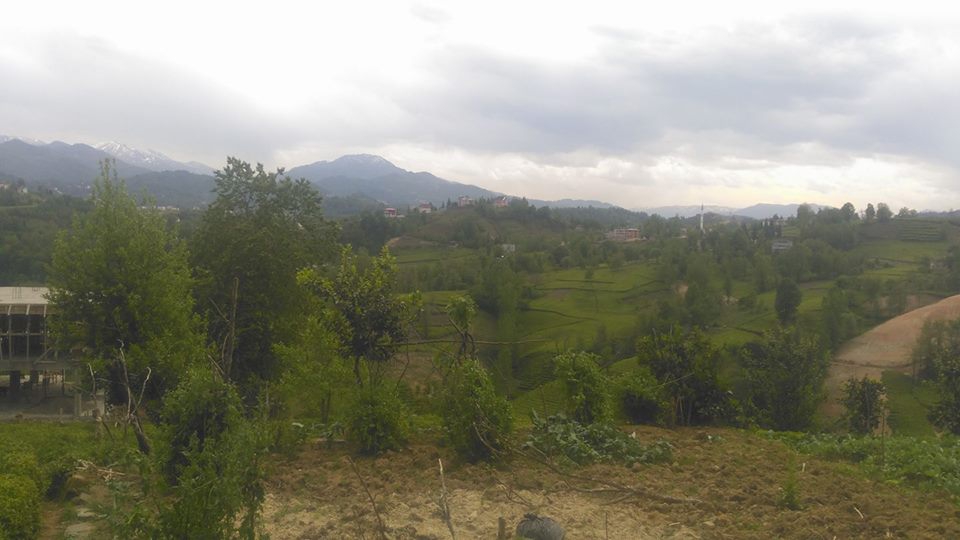 Hayrat Köyceğiz Köyü Resimleri 7