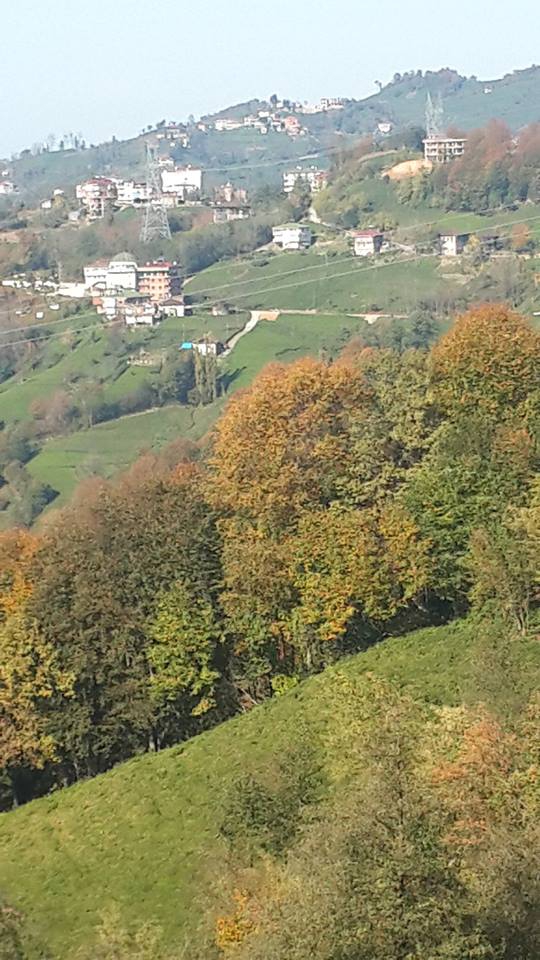 Hayrat Köyceğiz Köyü Resimleri 9