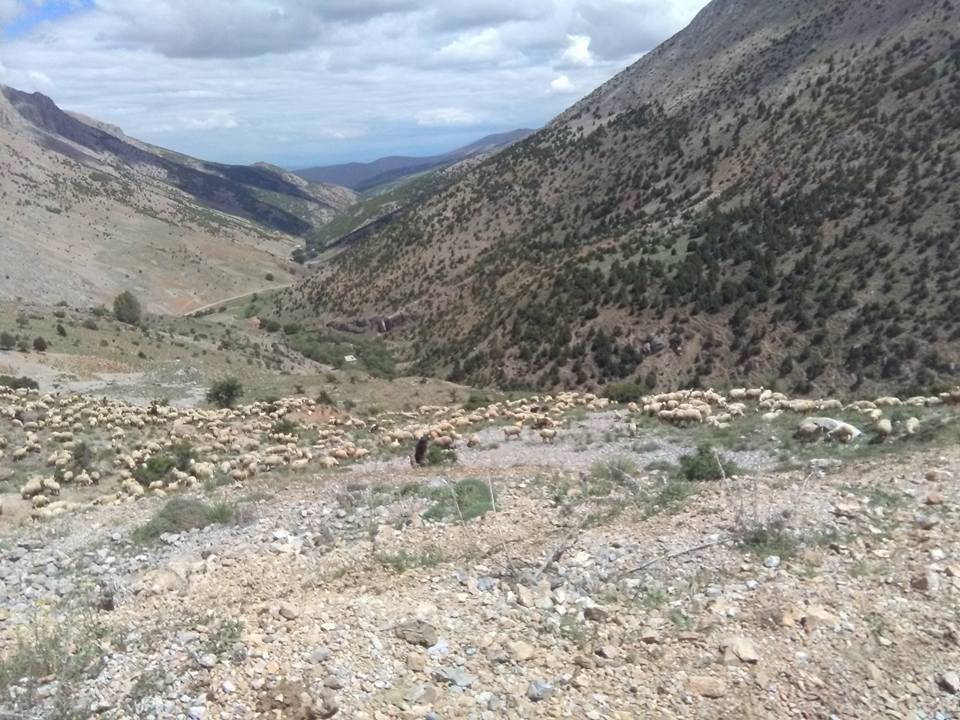 Afşin  İncirli Köyü Resimleri 11