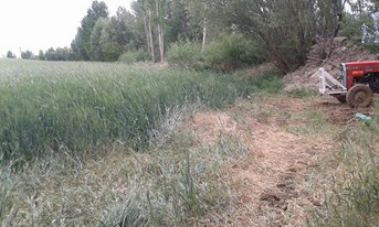 Afşin  Kangal Köyü Resimleri 6