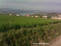 Ağın Saraycık Köyü Resimleri 5