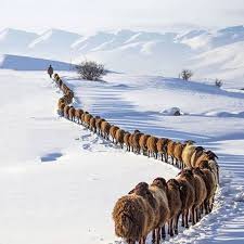 Tunceli Aktuluk Köyü Resimleri 1