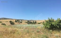 Tunceli Buğulu Köyü Resimleri 6