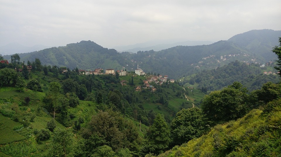 Hayrat Pınarca Köyü Resimleri 11