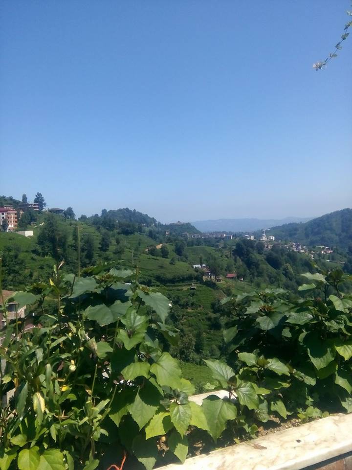 Hayrat Pınarca Köyü Resimleri 14