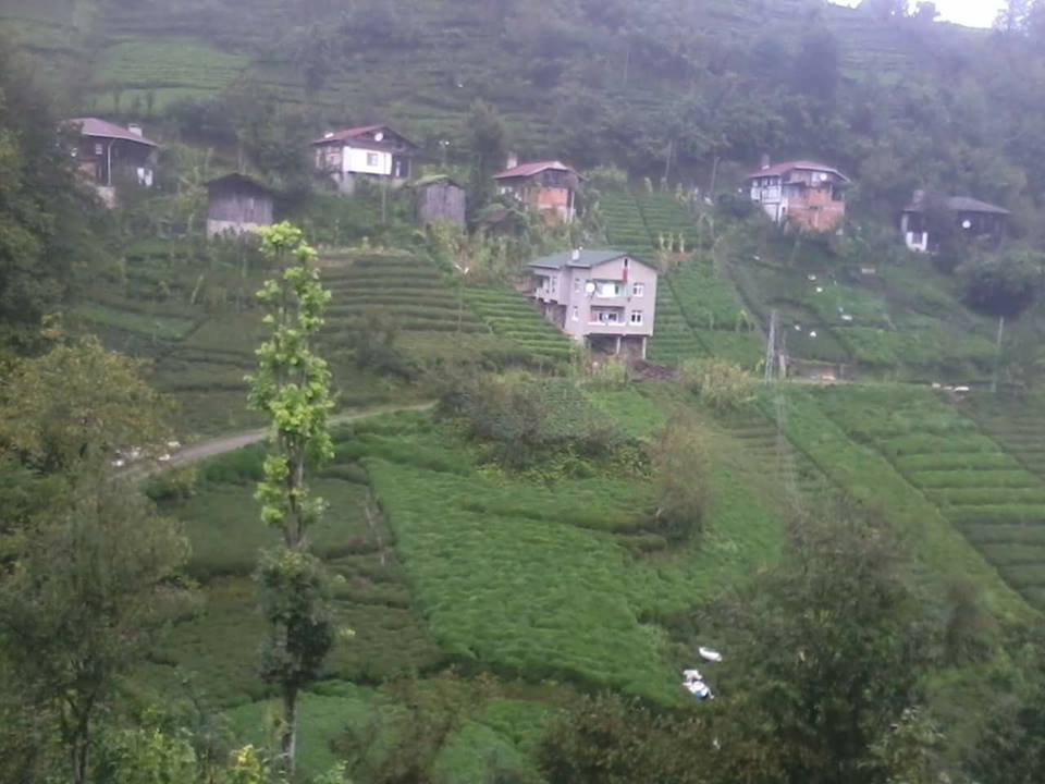 Hayrat Pınarca Köyü Resimleri 16