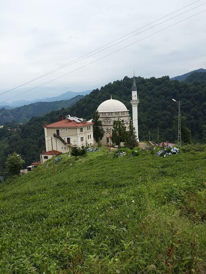 Hayrat Pınarca Köyü Resimleri 18