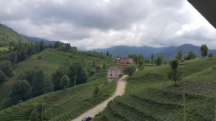 Hayrat Pınarca Köyü Resimleri 22